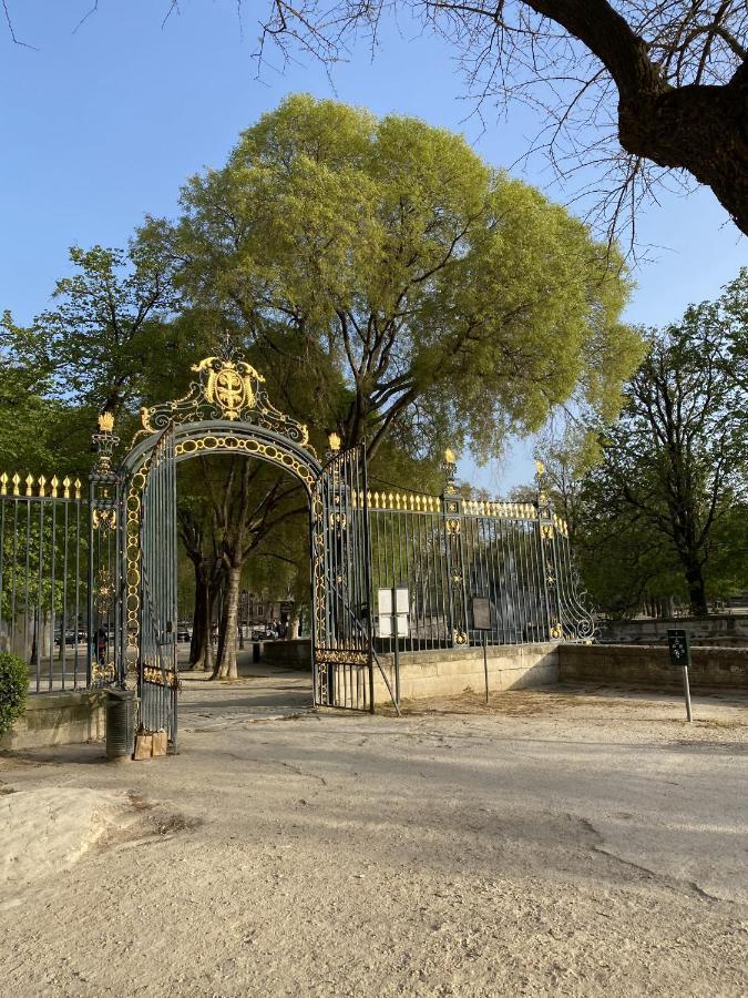 Hostel Flamingo Nimes Gare Centre المظهر الخارجي الصورة